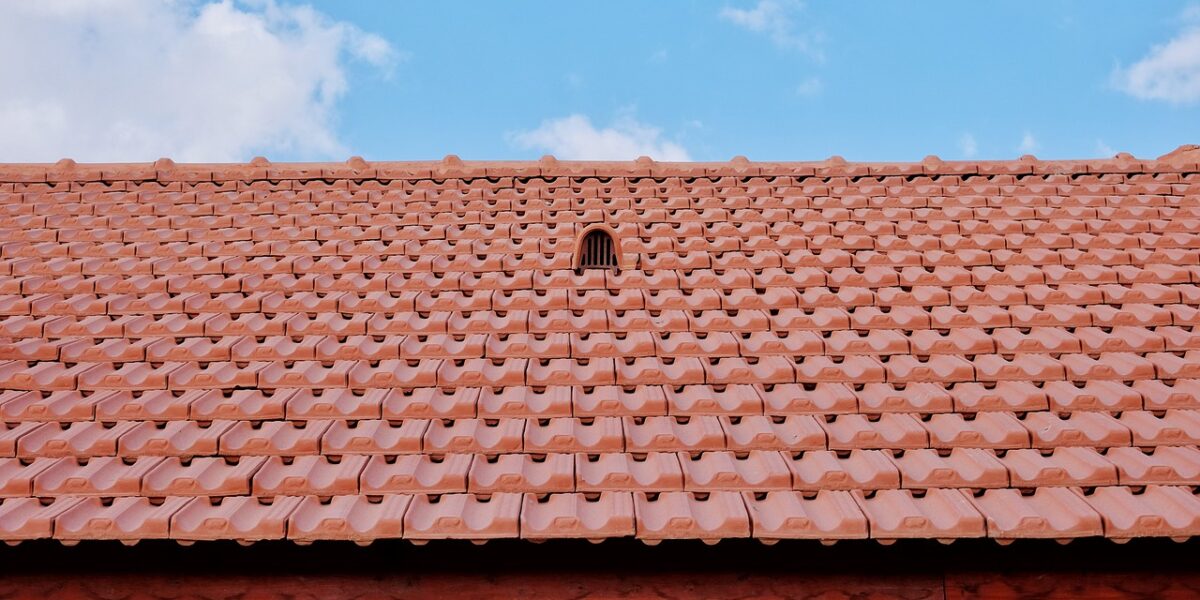 Nettoyage de toiture avec élimination de la mousse et des lichens